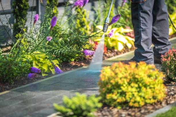  Thurmont, MD Pressure Washing Pros